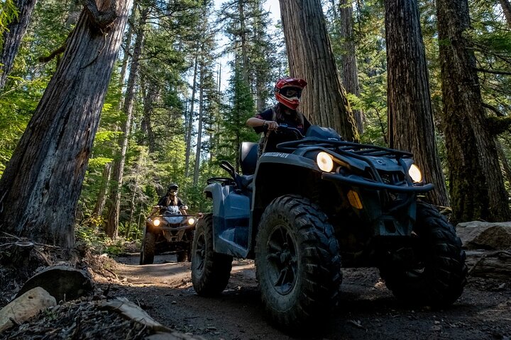 Whistler ATV Bushwhacker Tour