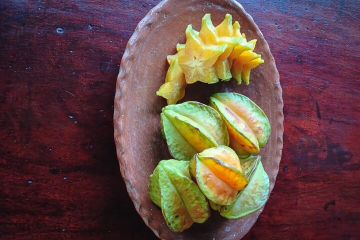 Fruit Atelier in Guanacaste La Casita Barra Honda