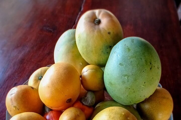 Fruit Atelier in Guanacaste La Casita Barra Honda