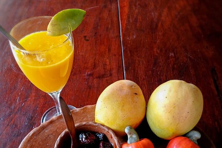 Fruit Atelier in Guanacaste La Casita Barra Honda