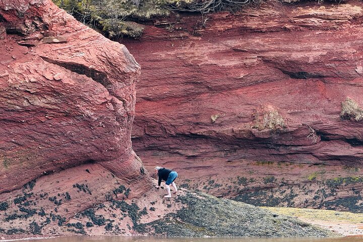 Bay of Fundy Tour Saint John NB