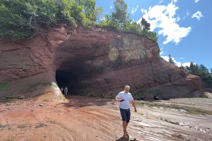 Bay of Fundy Tour Saint John NB