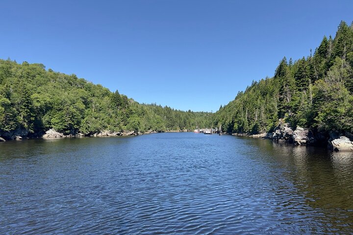 Bay of Fundy Tour Saint John NB