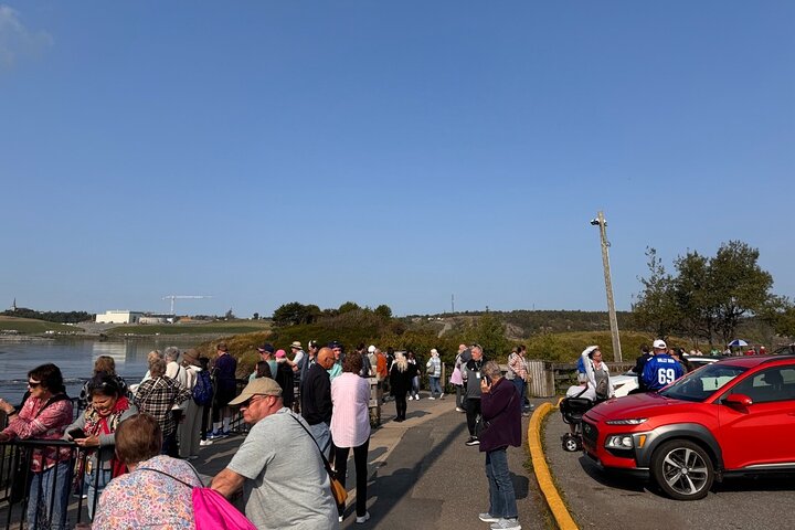 Bay of Fundy Tour Saint John NB