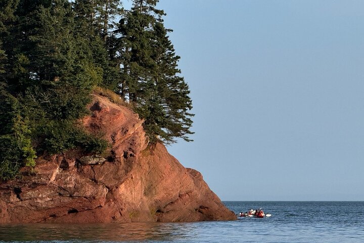 Bay of Fundy Tour Saint John NB
