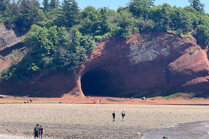 Bay of Fundy Tour Saint John NB