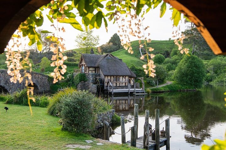 From Hamilton Hobbiton Waitomo Glowworm Caves 1 Day Private Tour