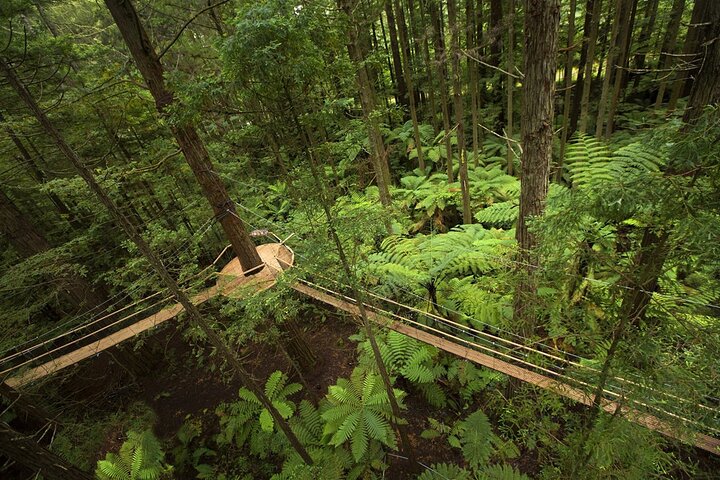 3 Day Minivan Tour From Hamilton to Taupo