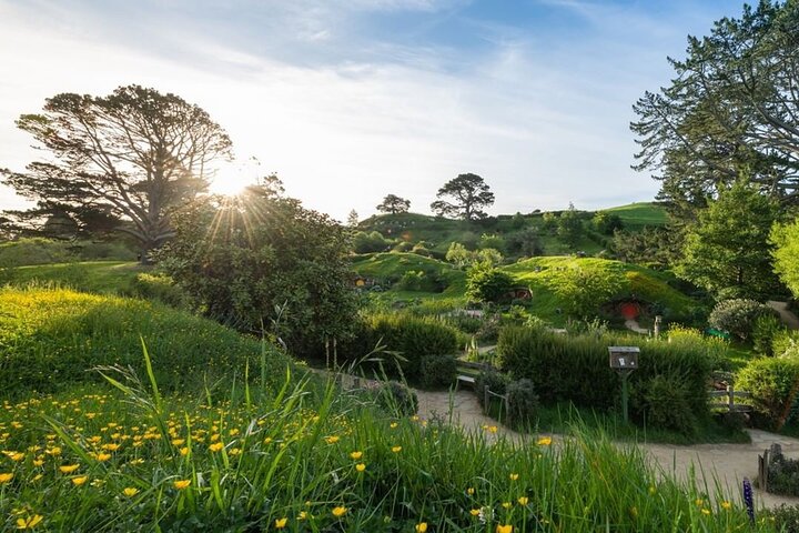 3 Day Minivan Tour From Hamilton to Taupo