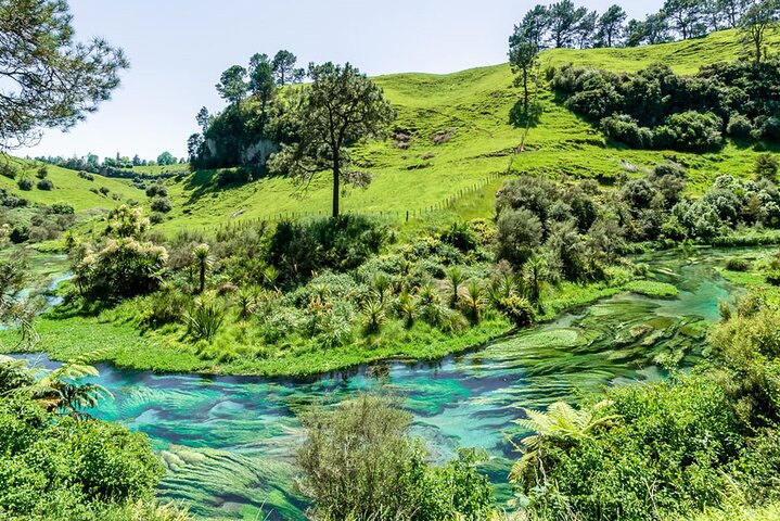 From Hamilton Hobbiton Waitomo Glowworm Caves 1 Day Private Tour
