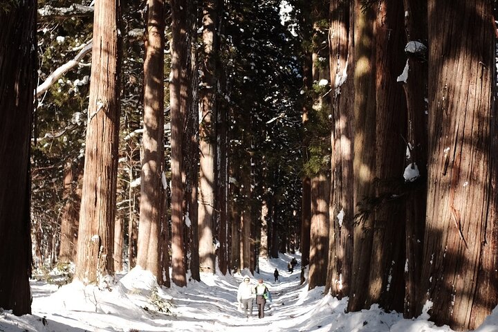 Togakushi Shrine Private Tour with English Local Guide