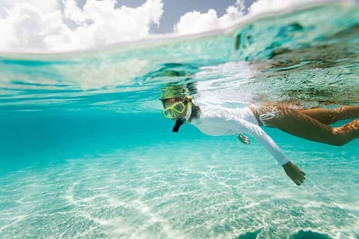 Ras Mohammed & White Island: Snorkel, Optional Dive & Lunch