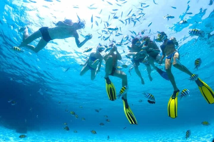 Ras Mohammed & White Island: Snorkel, Optional Dive & Lunch