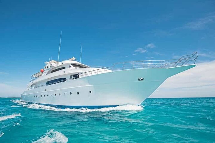 Ras Mohammed & White Island: Snorkel, Optional Dive & Lunch