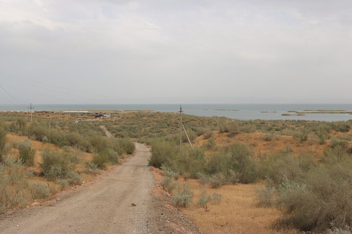 2 Day Aydar Lake Yurt Camping Tour from Bukhara