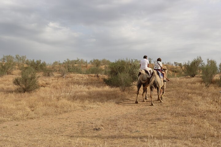 2 Day Aydar Lake Yurt Camping Tour from Bukhara