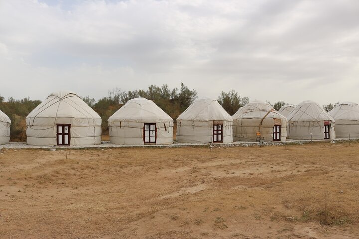 2 Day Aydar Lake Yurt Camping Tour from Bukhara