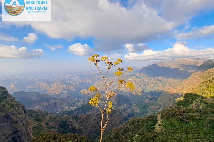 5-Day Northern Ethiopia Tour : 3D Simien Mountains Trek & Axum.