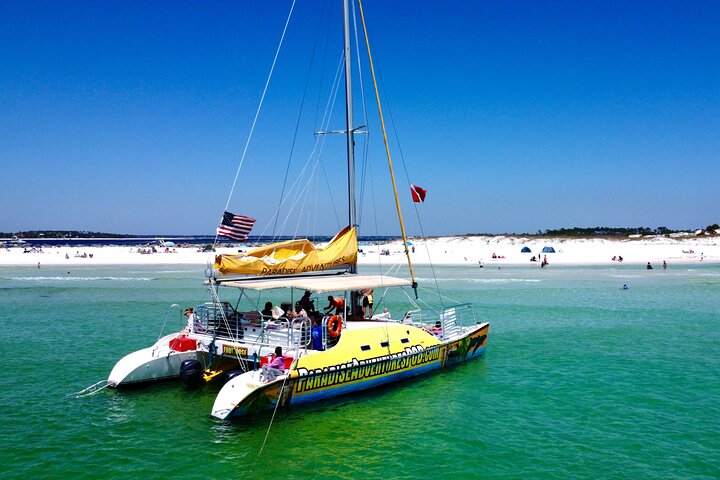 Snorkel & Dolphin Sightseeing Tour Aboard the Footloose