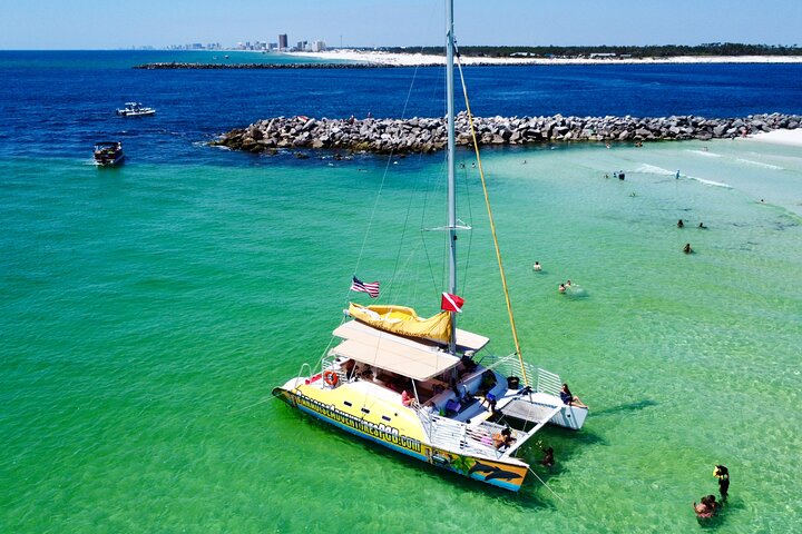 Snorkel & Dolphin Sightseeing Tour Aboard the Footloose