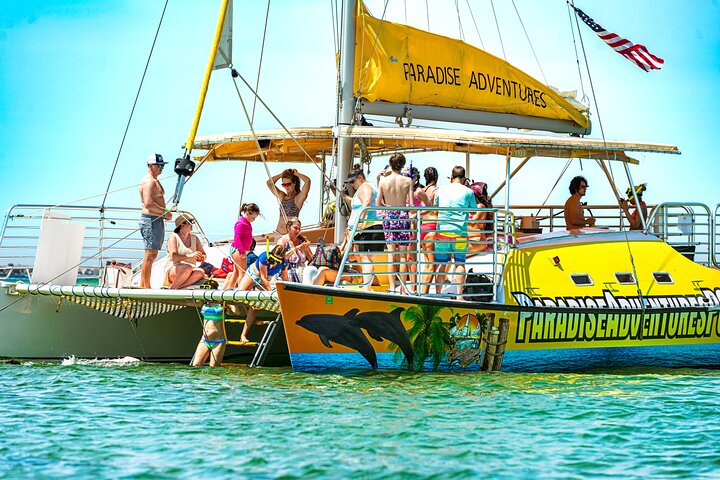 Snorkel & Dolphin Sightseeing Tour Aboard the Footloose