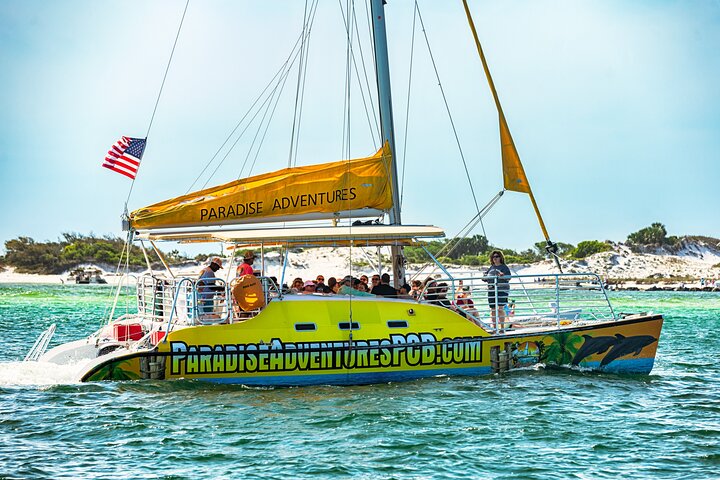 Snorkel & Dolphin Sightseeing Tour Aboard the Footloose