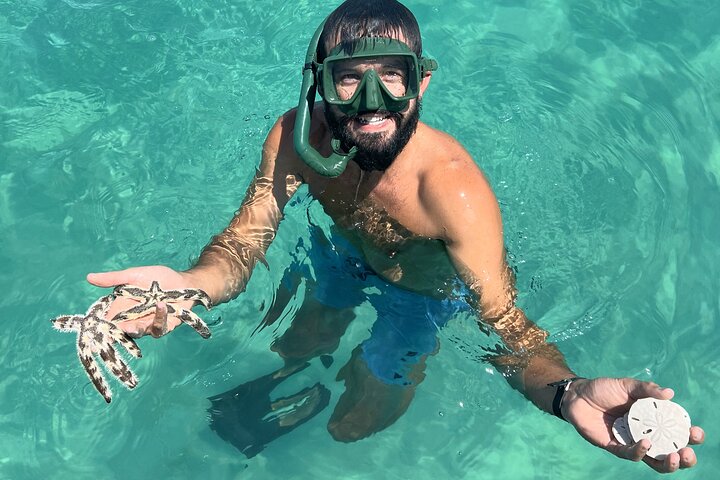 Snorkel & Dolphin Sightseeing Tour Aboard the Footloose