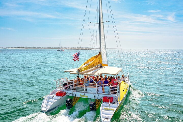 Snorkel & Dolphin Sightseeing Tour Aboard the Footloose