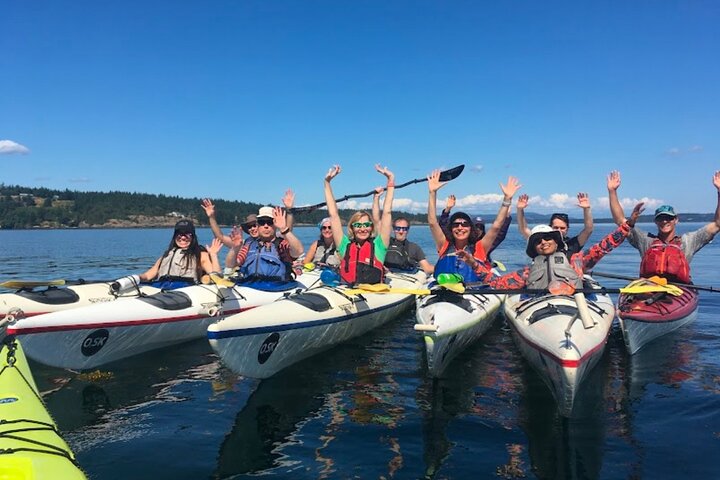 3 Hour Kayaking Tours from Friday Harbor