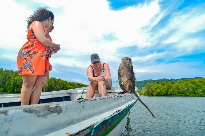 Koh Lanta Mangrove and Monkey Point Longtail Boat Tour