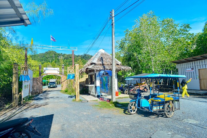 Koh Lanta Mangrove and Monkey Point Longtail Boat Tour