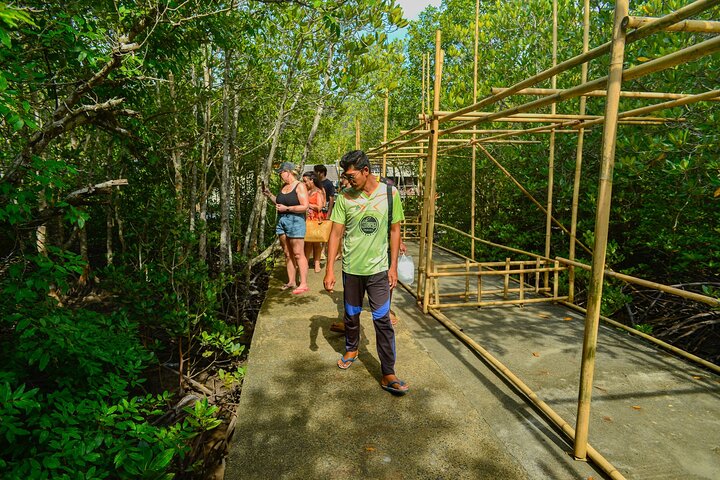Koh Lanta Mangrove and Monkey Point Longtail Boat Tour