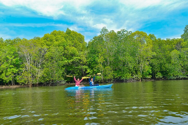 Koh Lanta Mangrove and Monkey Point Longtail Boat Tour