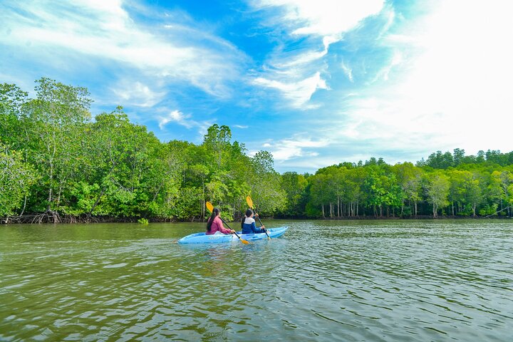 Koh Lanta Mangrove and Monkey Point Longtail Boat Tour