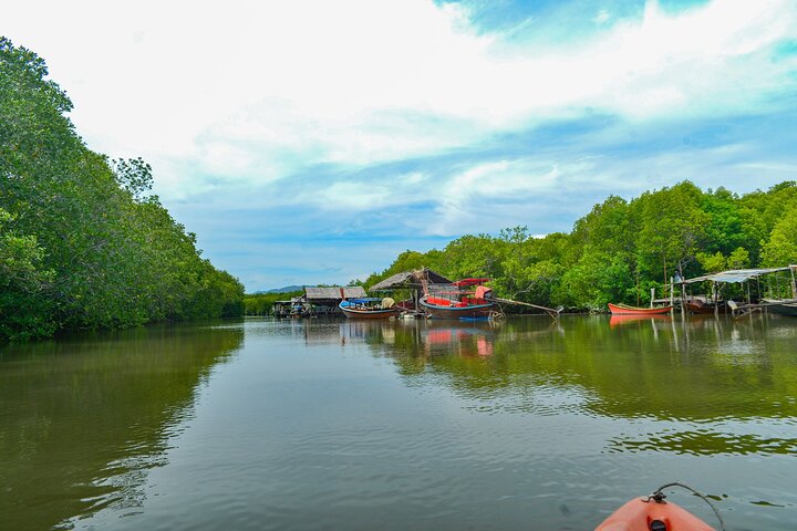 Koh Lanta Mangrove and Monkey Point Longtail Boat Tour