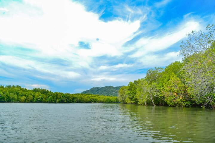 Koh Lanta Mangrove and Monkey Point Longtail Boat Tour