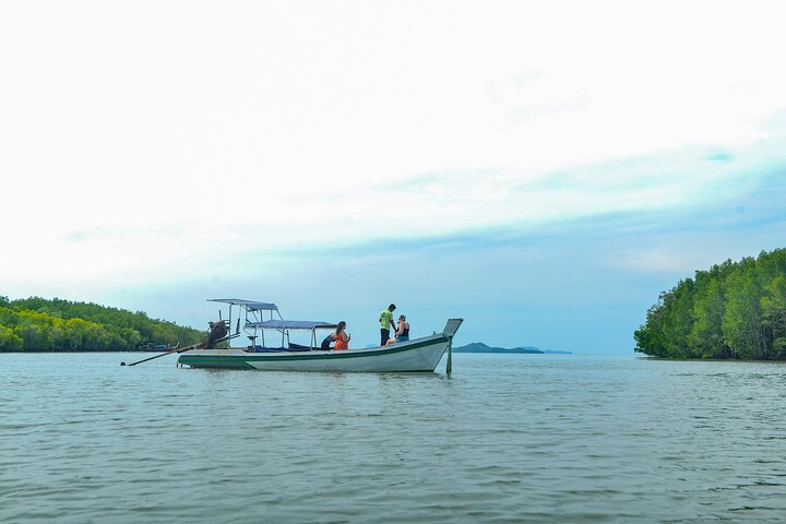 Koh Lanta Mangrove and Monkey Point Longtail Boat Tour