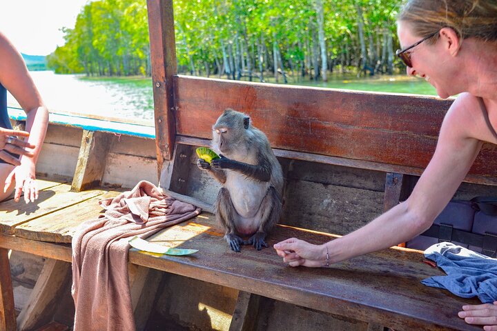 Koh Lanta Mangrove and Monkey Point Longtail Boat Tour