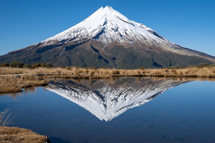 Multi Day Tour to New Plymouth and Taranaki Region from Hamilton