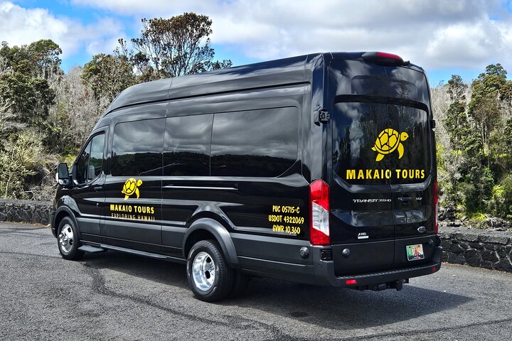Hawaii Volcanoes, Waterfalls, Beaches & Hilo Highlights Day Tour