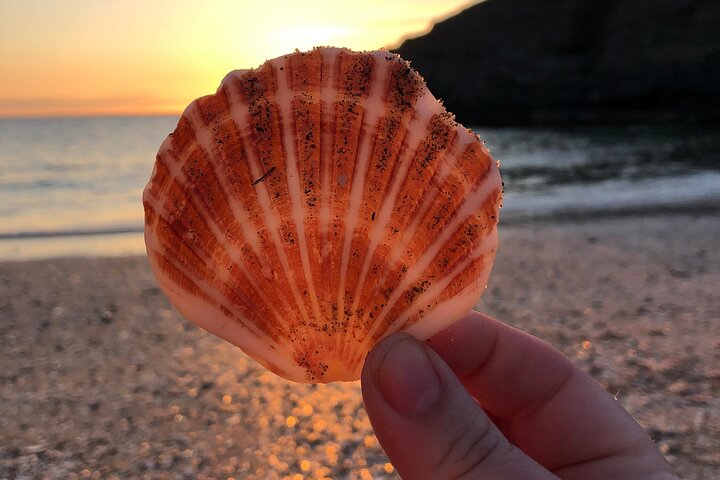 Private Half Day Southern Isle of Man Tour