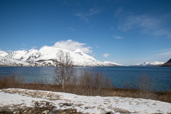 Tromsø: Fjord Adventure Tour with Wildlife and Lunch