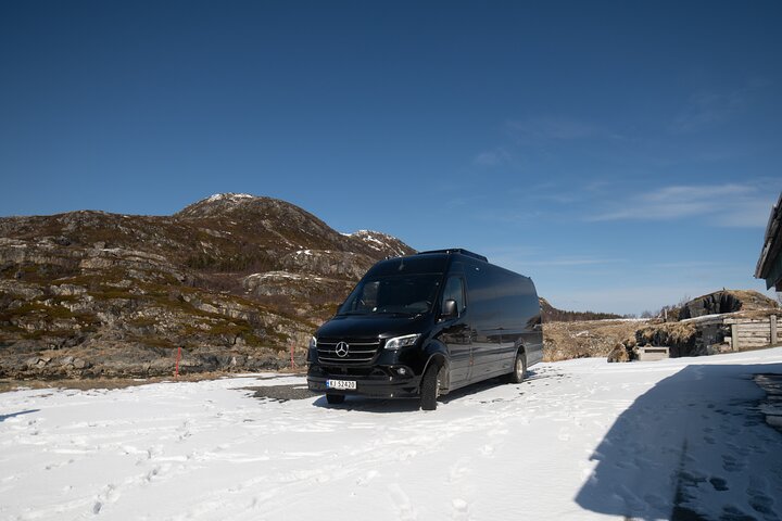 Tromsø: Fjord Adventure Tour with Wildlife and Lunch