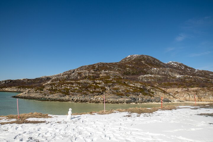 Tromsø: Fjord Adventure Tour with Wildlife and Lunch