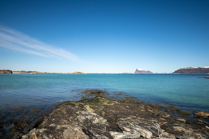 Tromsø: Fjord Adventure Tour with Wildlife and Lunch