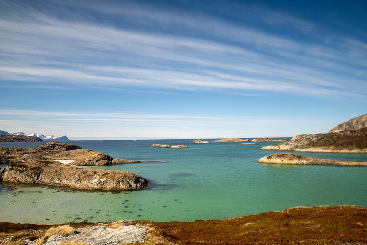 Tromsø: Fjord Adventure Tour with Wildlife and Lunch