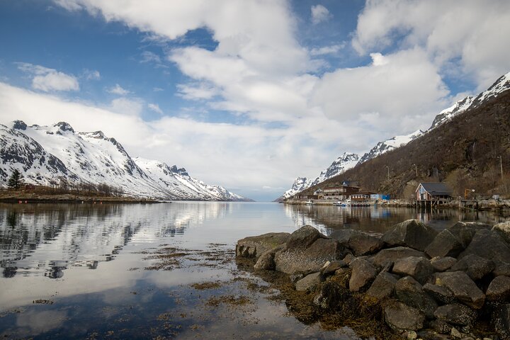 Tromsø: Fjord Adventure Tour with Wildlife and Lunch