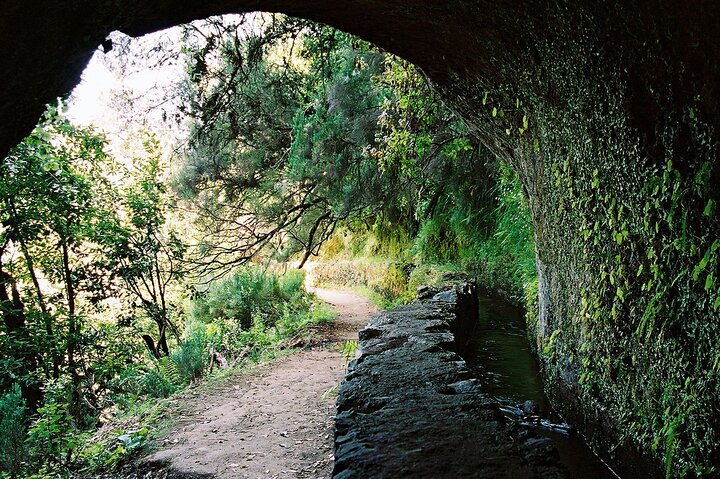 Madeira Queimadas Caldeirão Verde
