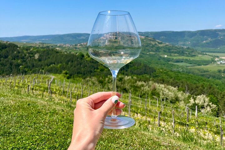 Istria Wine Tour from Island Krk and Rijeka