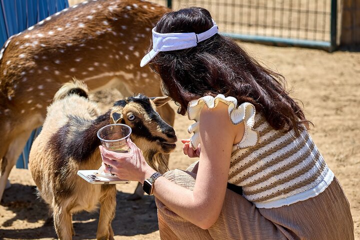Fredericksburg Safari Tour With Wine Tasting